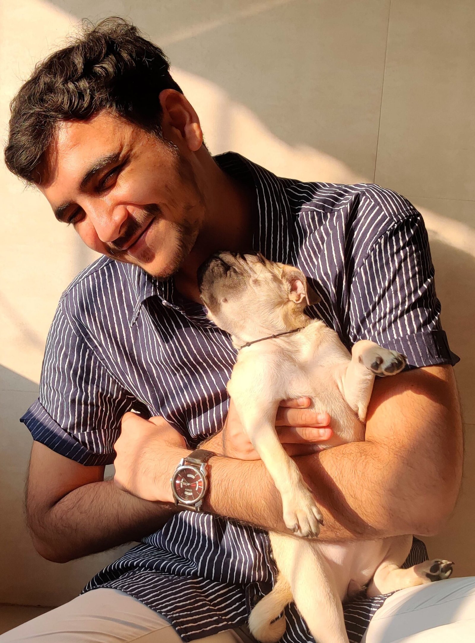 Discover Key Tips to Take Good Care of Your Pet: 5 tips