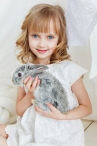 Read more about the article 10 Best Bunnies to Have as Pets