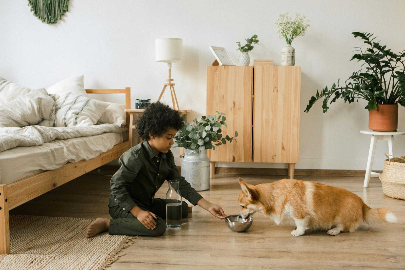Daily pet care checklist