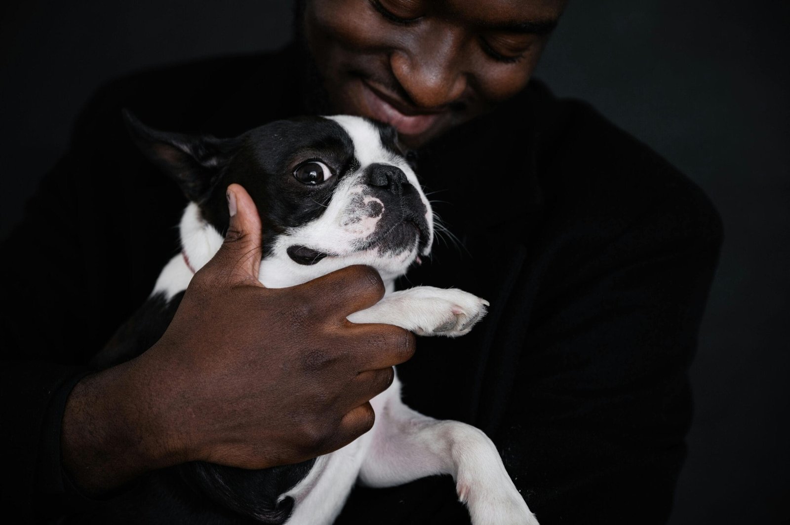 Daily pet care checklist 