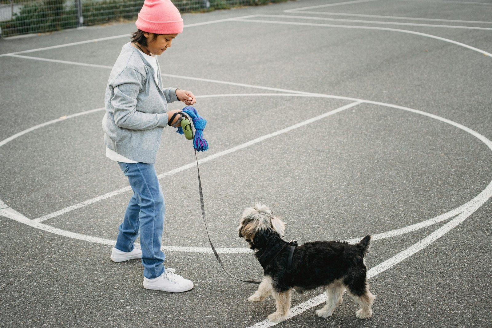 Dog training mistakes