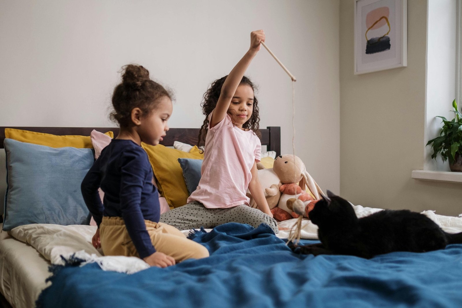 How to Keep Your Pet Active Indoor