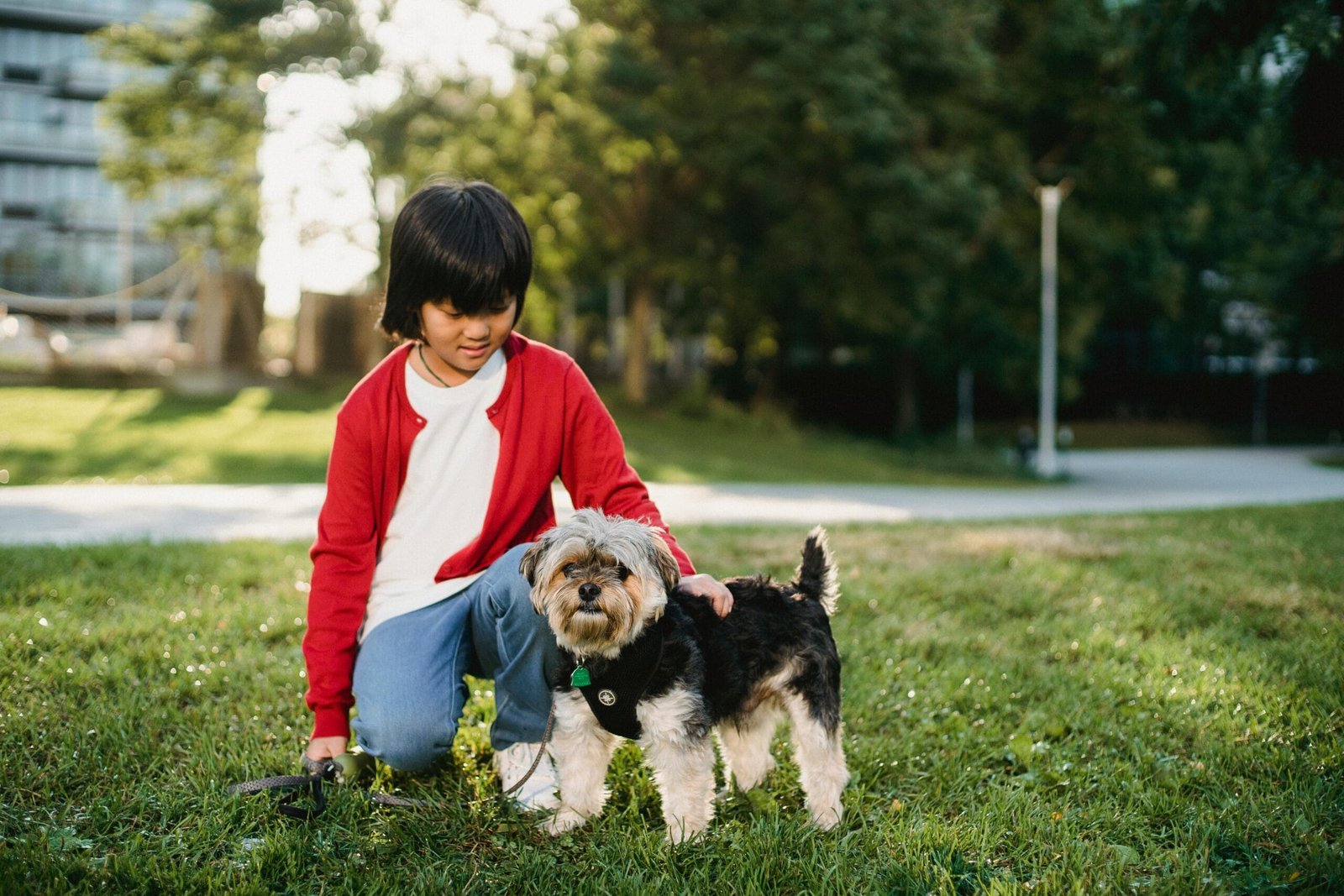 Prepare your home for a new pet 